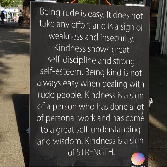 Meet Winter!!! The lilac point Siamese mix - Picture 11 of 16